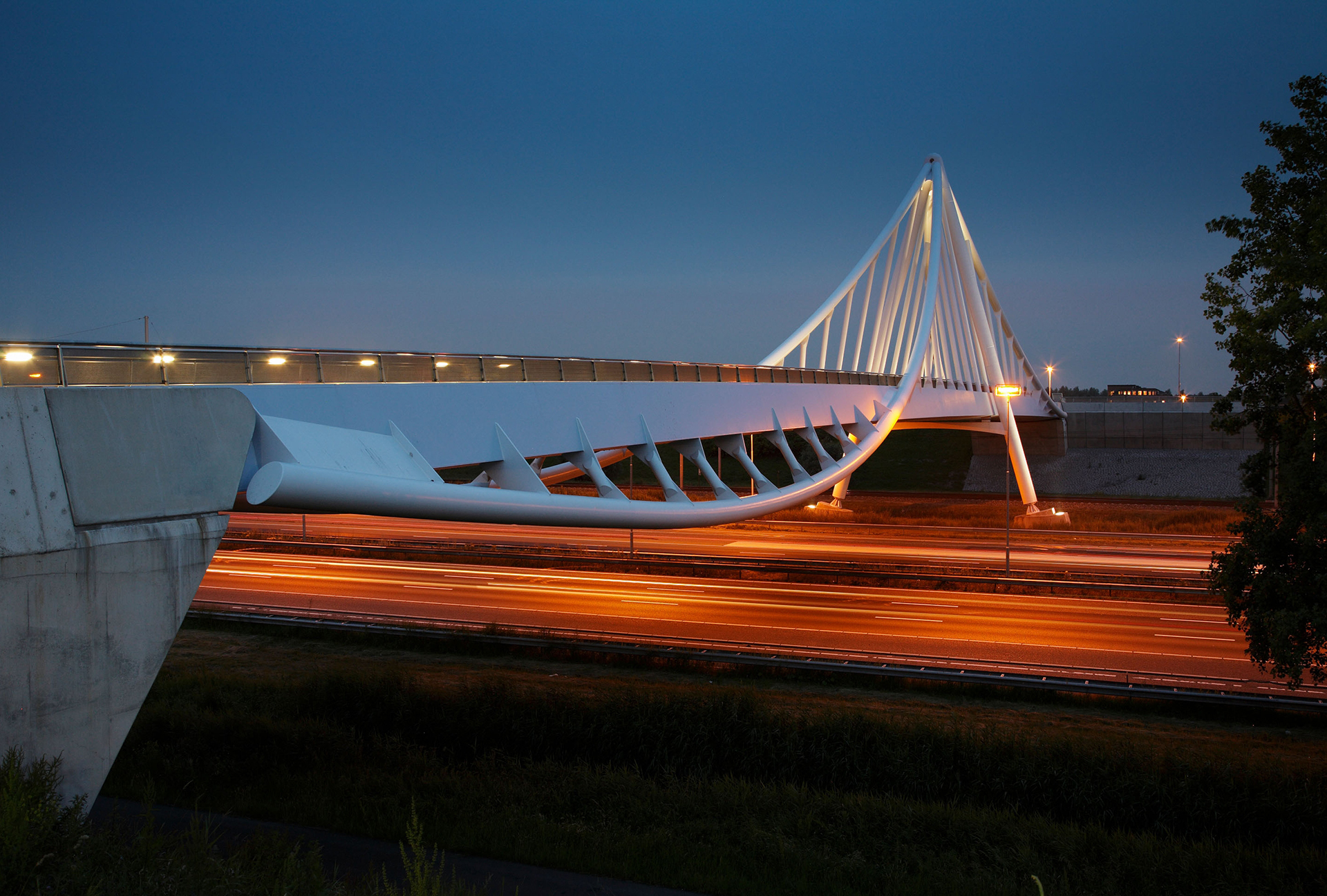 fietsbrug Zoetermeer